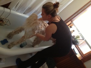 Bathing-Dog-In-A-Clawfoot-Tub