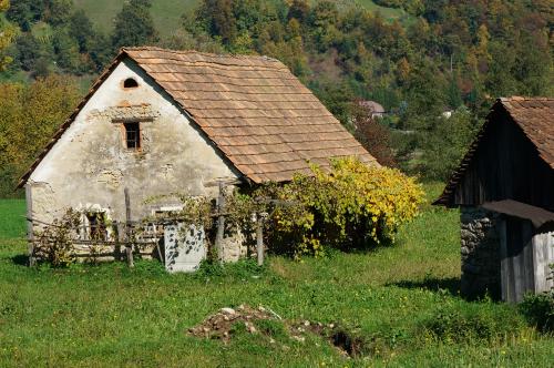 Slovenian NGO's partner with international groups to save their heritage				 - JE Broeker
